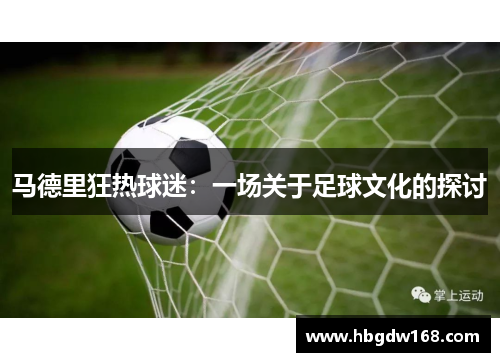 马德里狂热球迷：一场关于足球文化的探讨