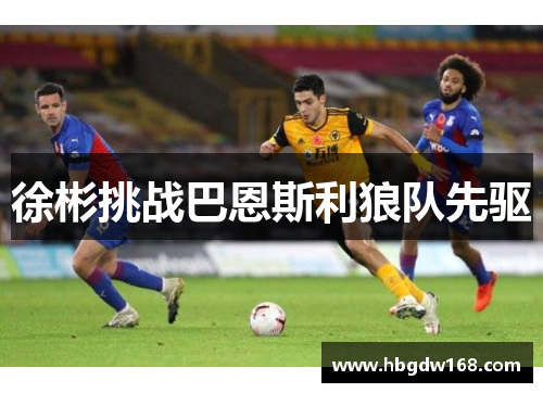 徐彬挑战巴恩斯利狼队先驱